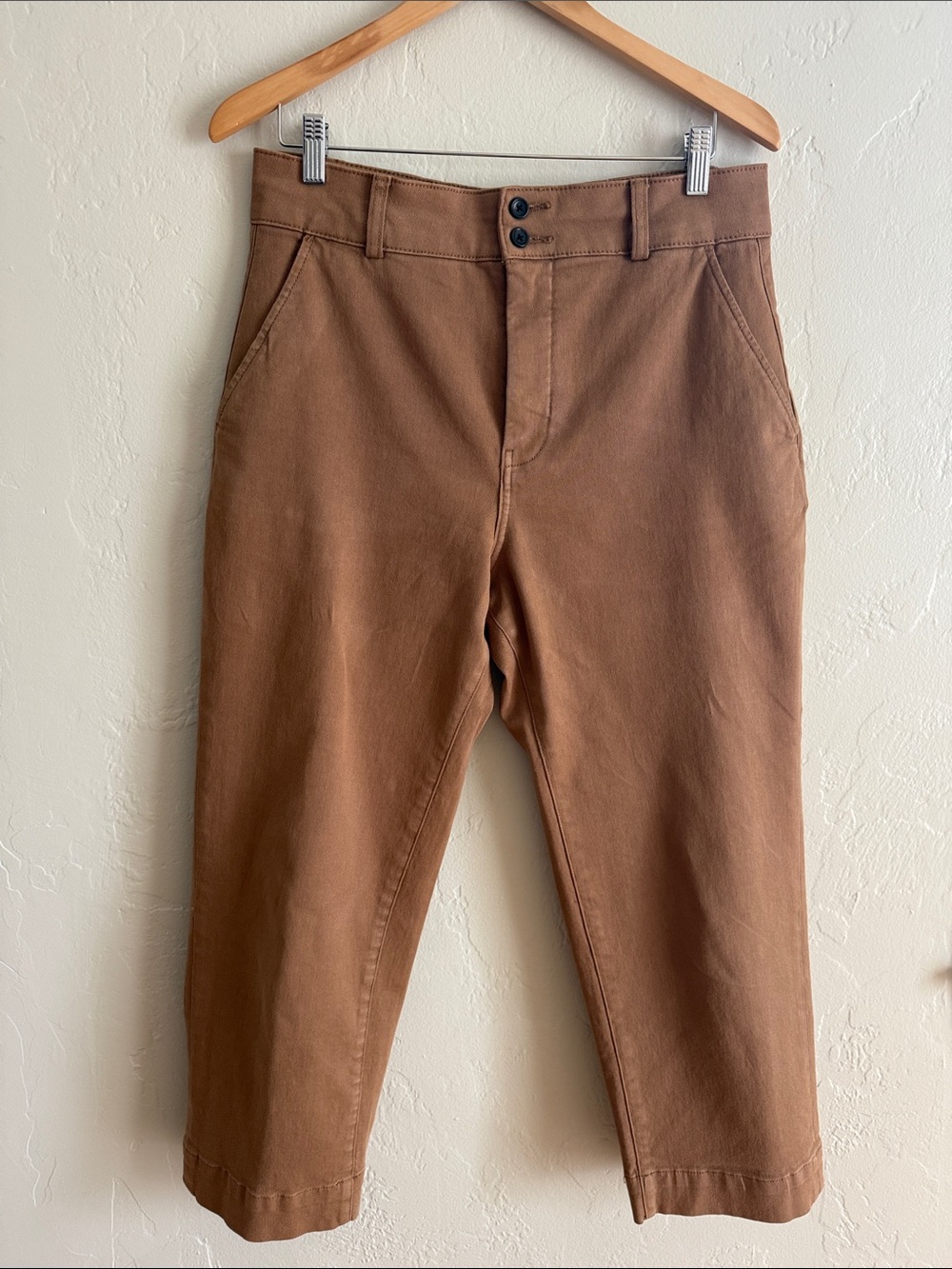 Everlane Women's High Waist Cropped Chino Pants in Brown Organic Cotton